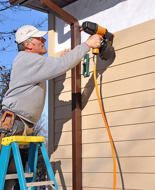 Affordable Siding Repair and Maintenance Services in Calumet City, IL