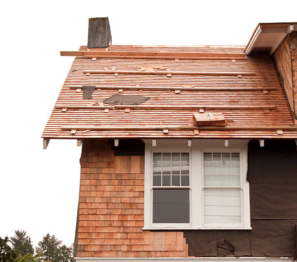 Storm Damage Siding Repair in Calumet City, IL